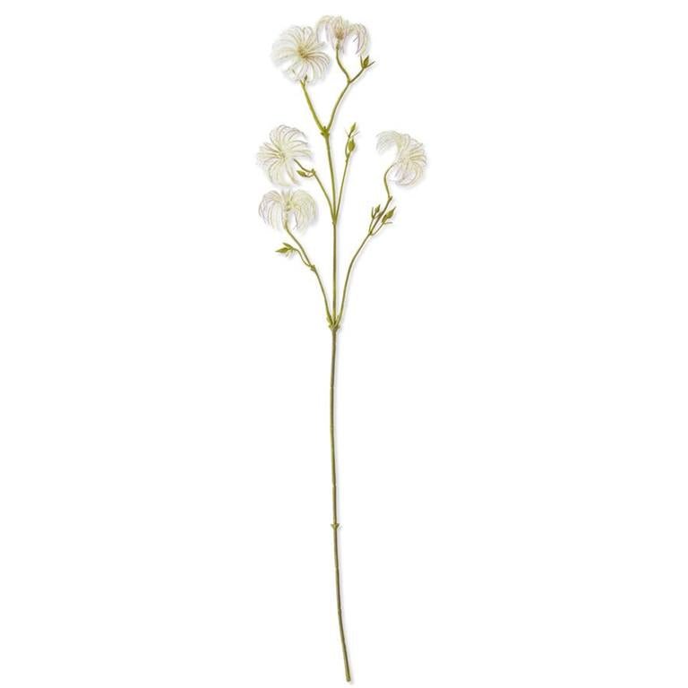 Flocked Clematis