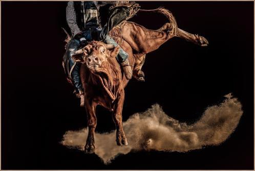 Bull Rider