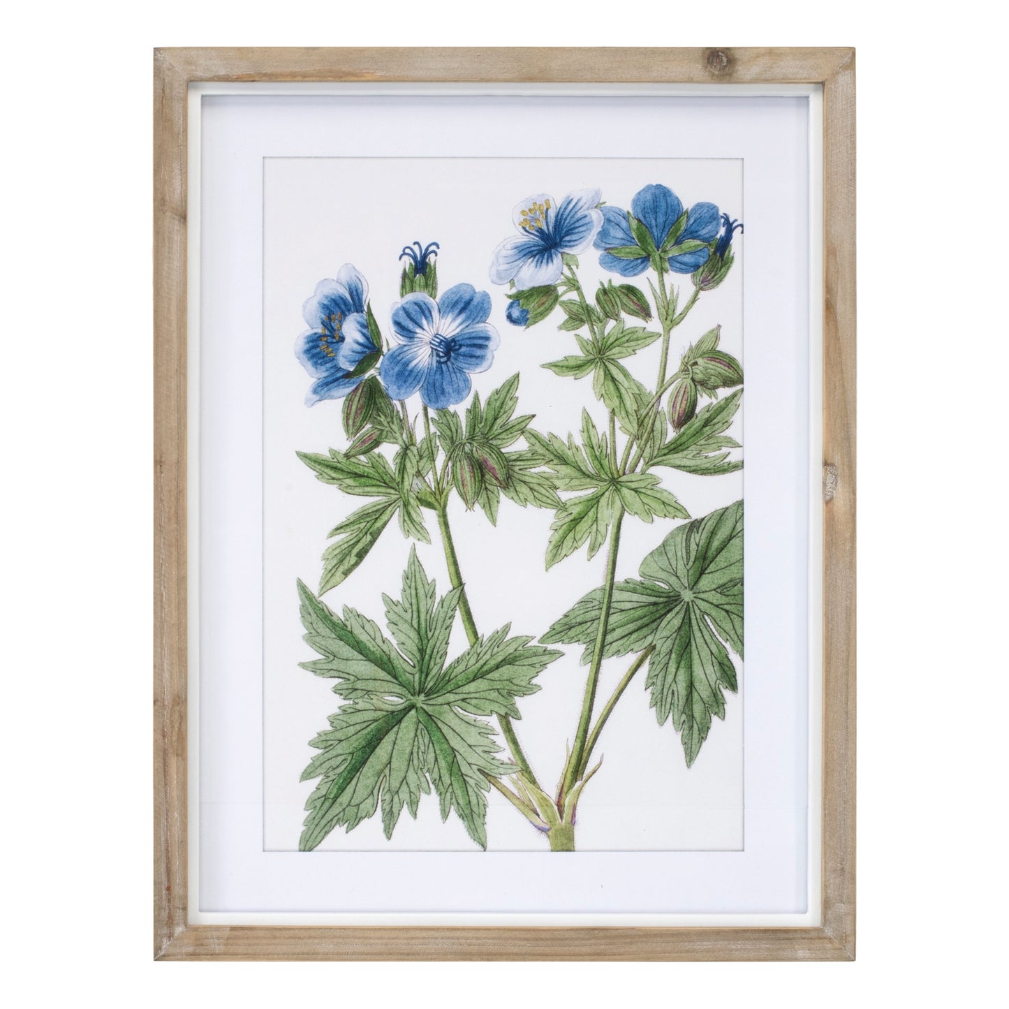 Framed Floral