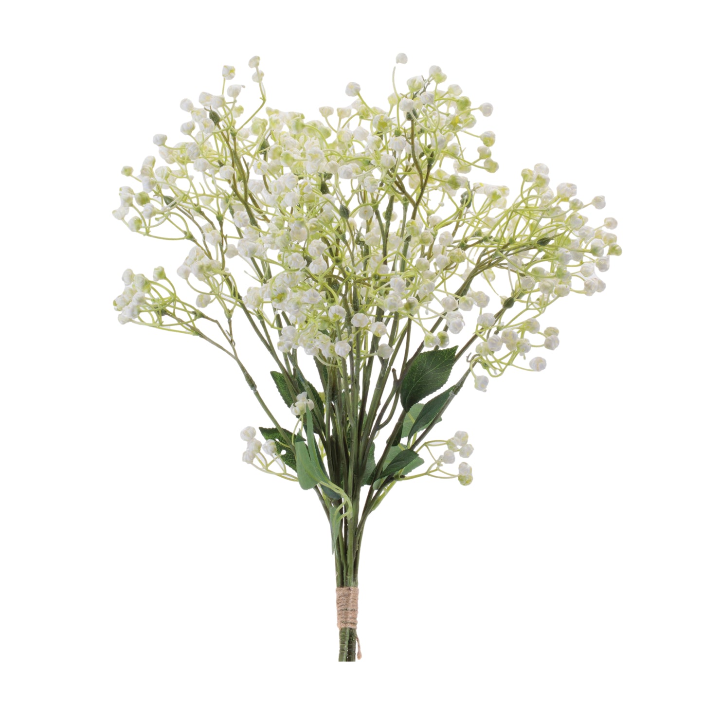 Gypsophila Bundle