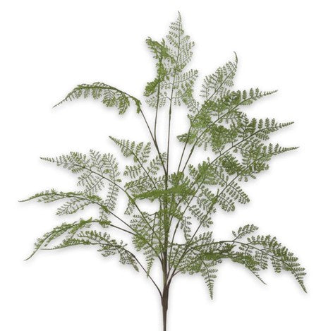 Lace Fern Spray