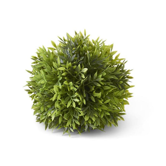 Podocarpus Ball