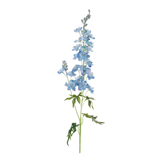 Delphinium Stem