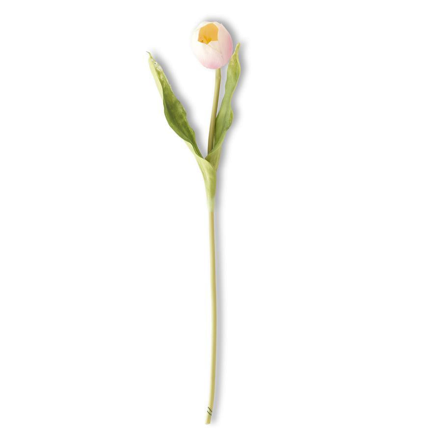Pink Tulip Stem