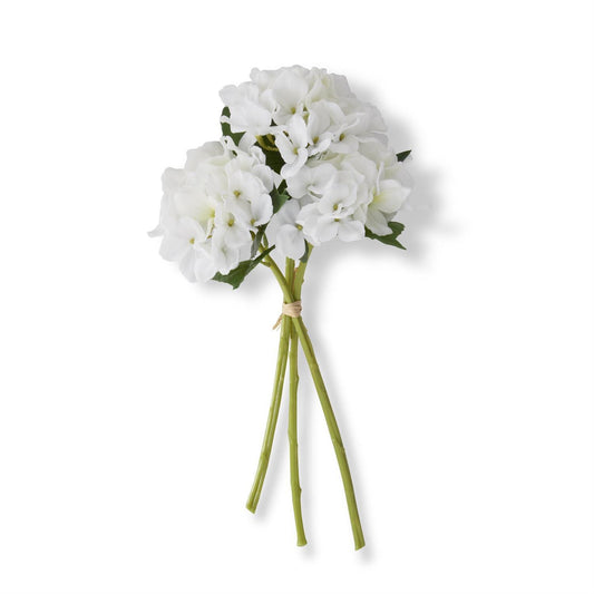 Whte Hydrangea Bundle