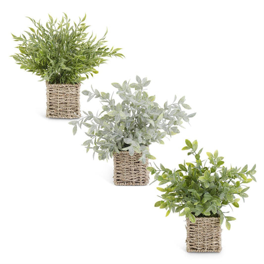 Basket of Herbs