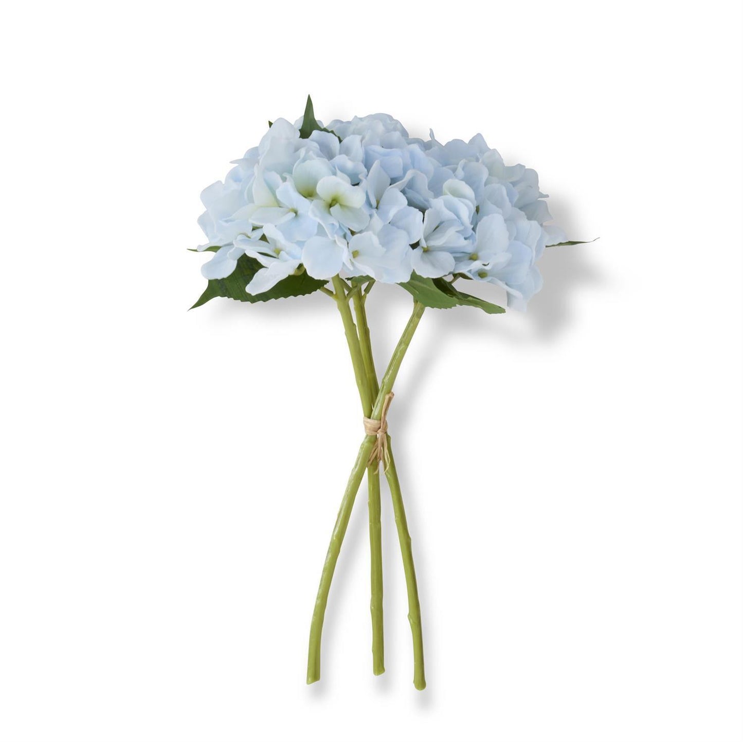 Blu Hydrangea Bundle