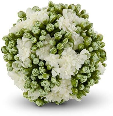 White Kalanchoe Ball