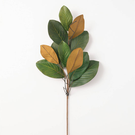 Magnolia Leaf