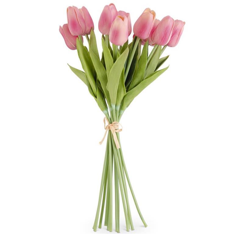 Mauve Tulip Bundle