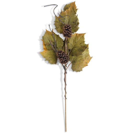 Grape Leaves Stem