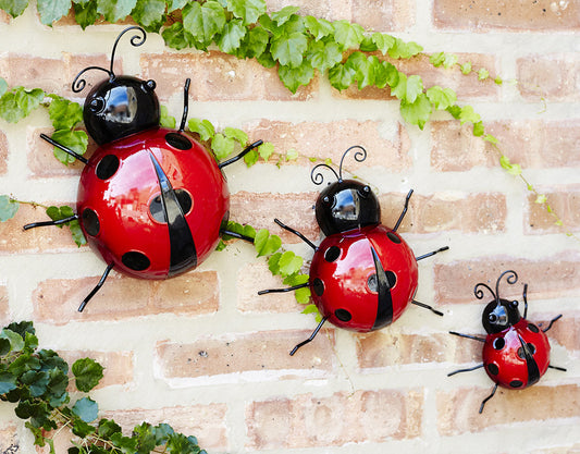 Ladybugs Set of 3