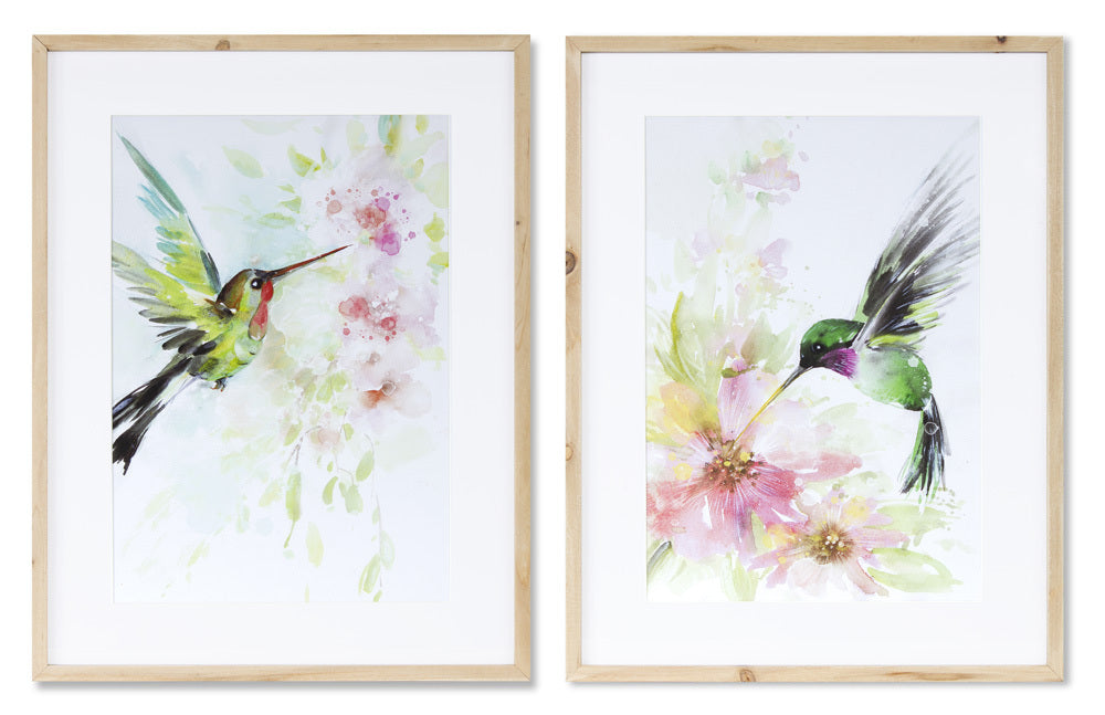 Hummingbird Watercolor