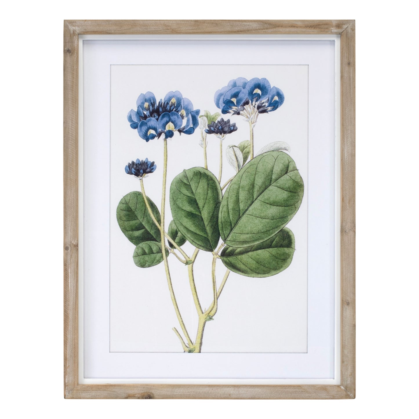 Framed Floral