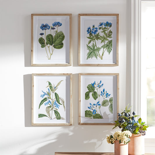 Framed Floral