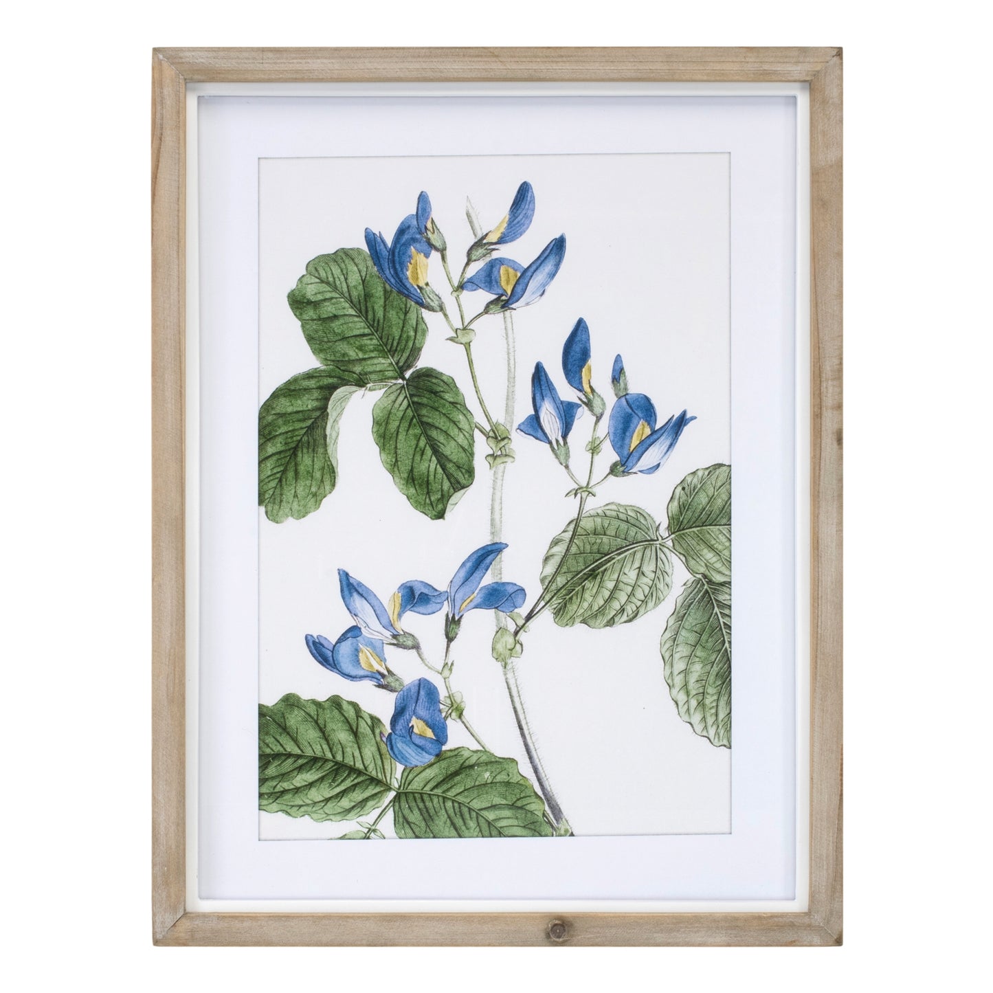 Framed Floral