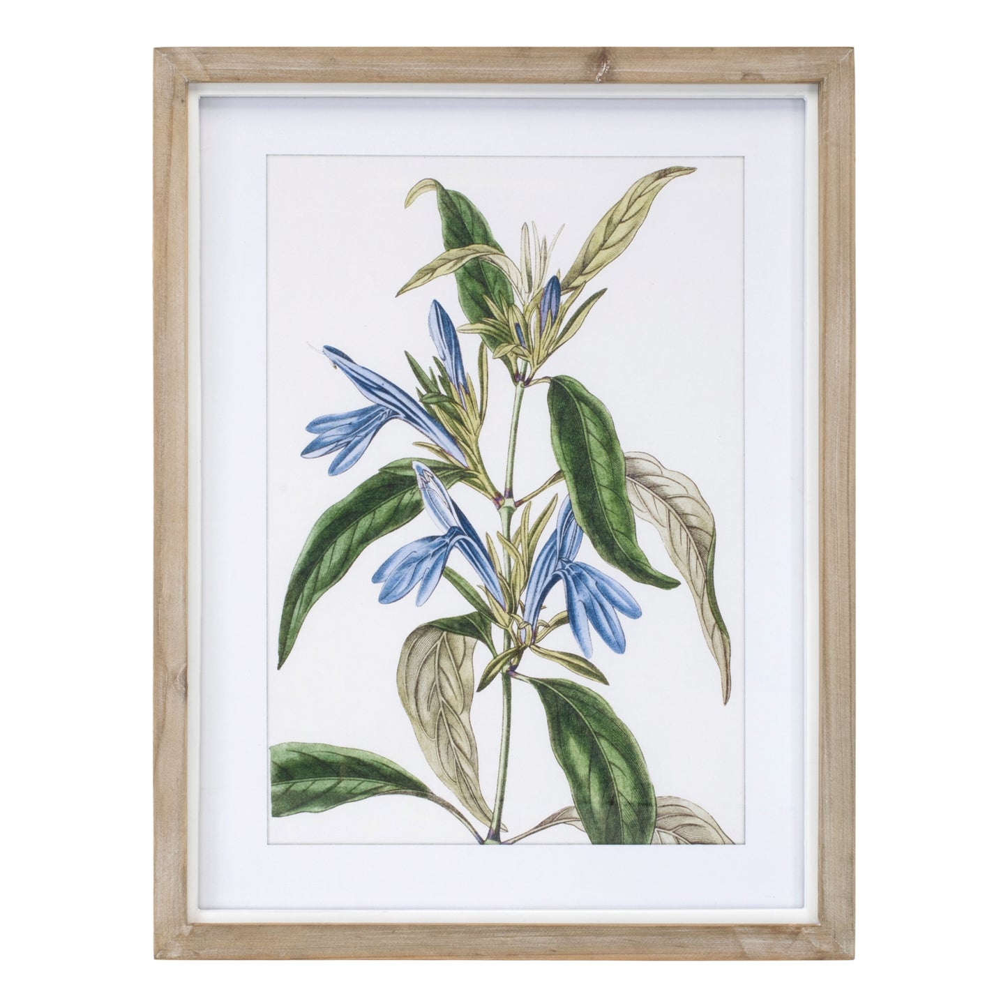 Framed Floral