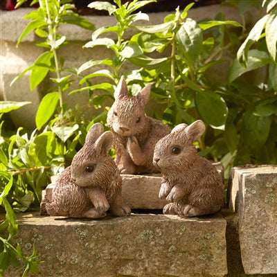 Baby Bunny Set of 3