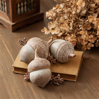 Acorn