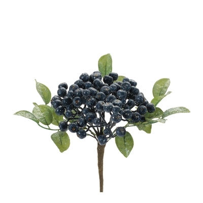 Berry Cluster