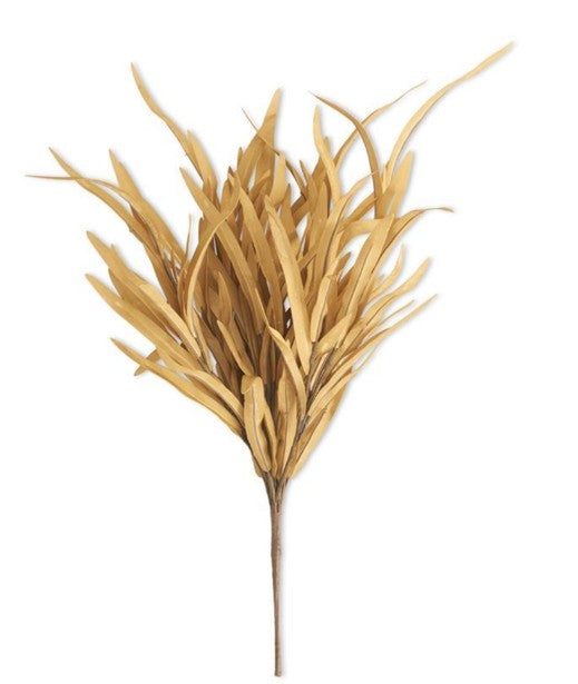 Brown Grass