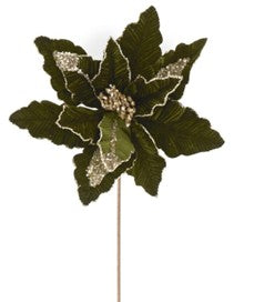 Dk Green Poinsettia