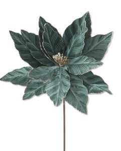 Green Poinsettia