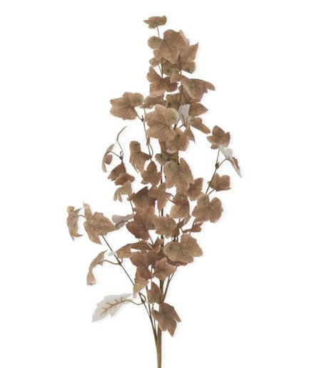 Maple Leaf