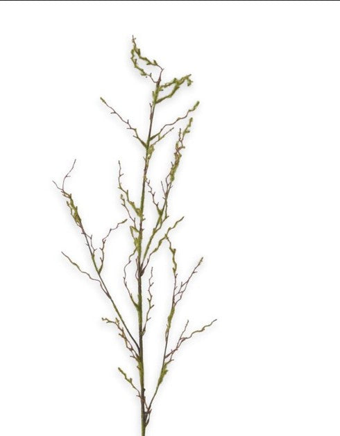 Mossy Twig Branch