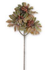 Rice Paper Berries